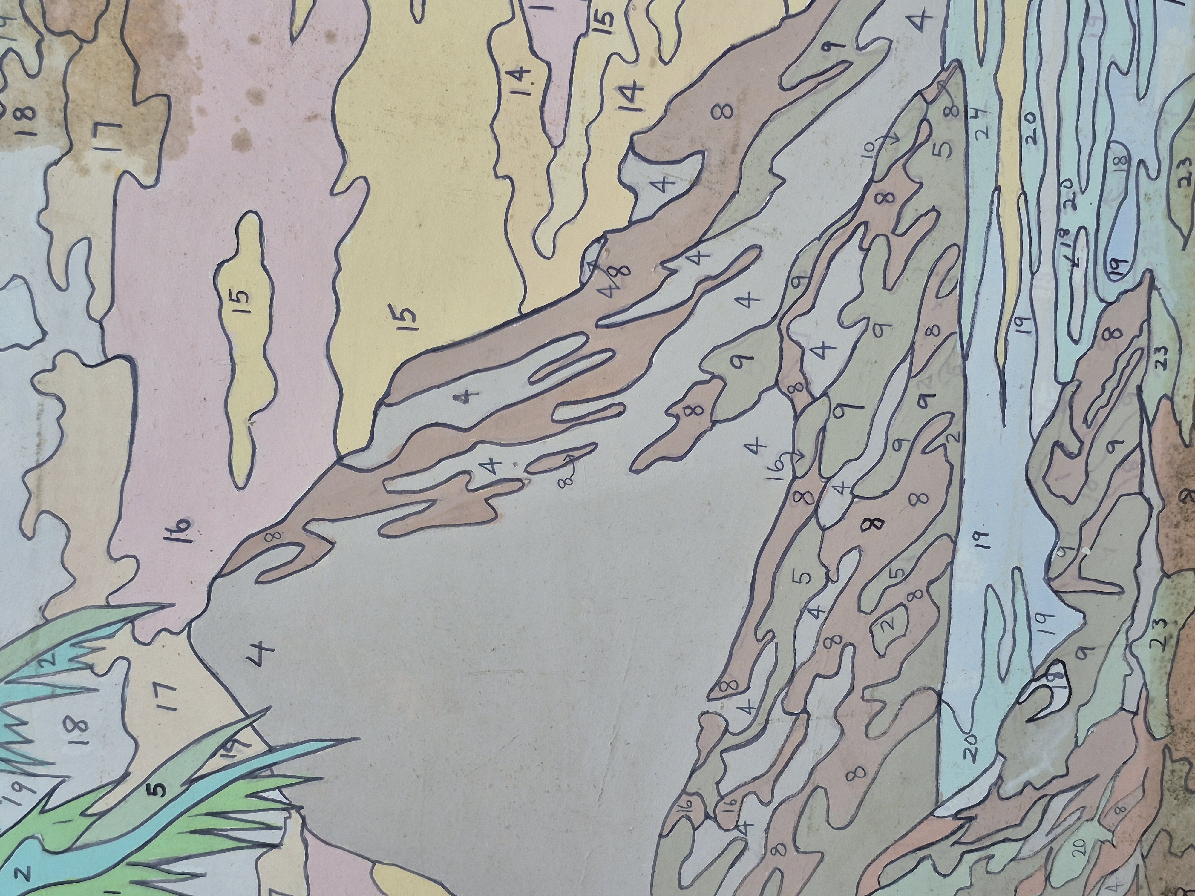 Early 5.5 — Paint by Number