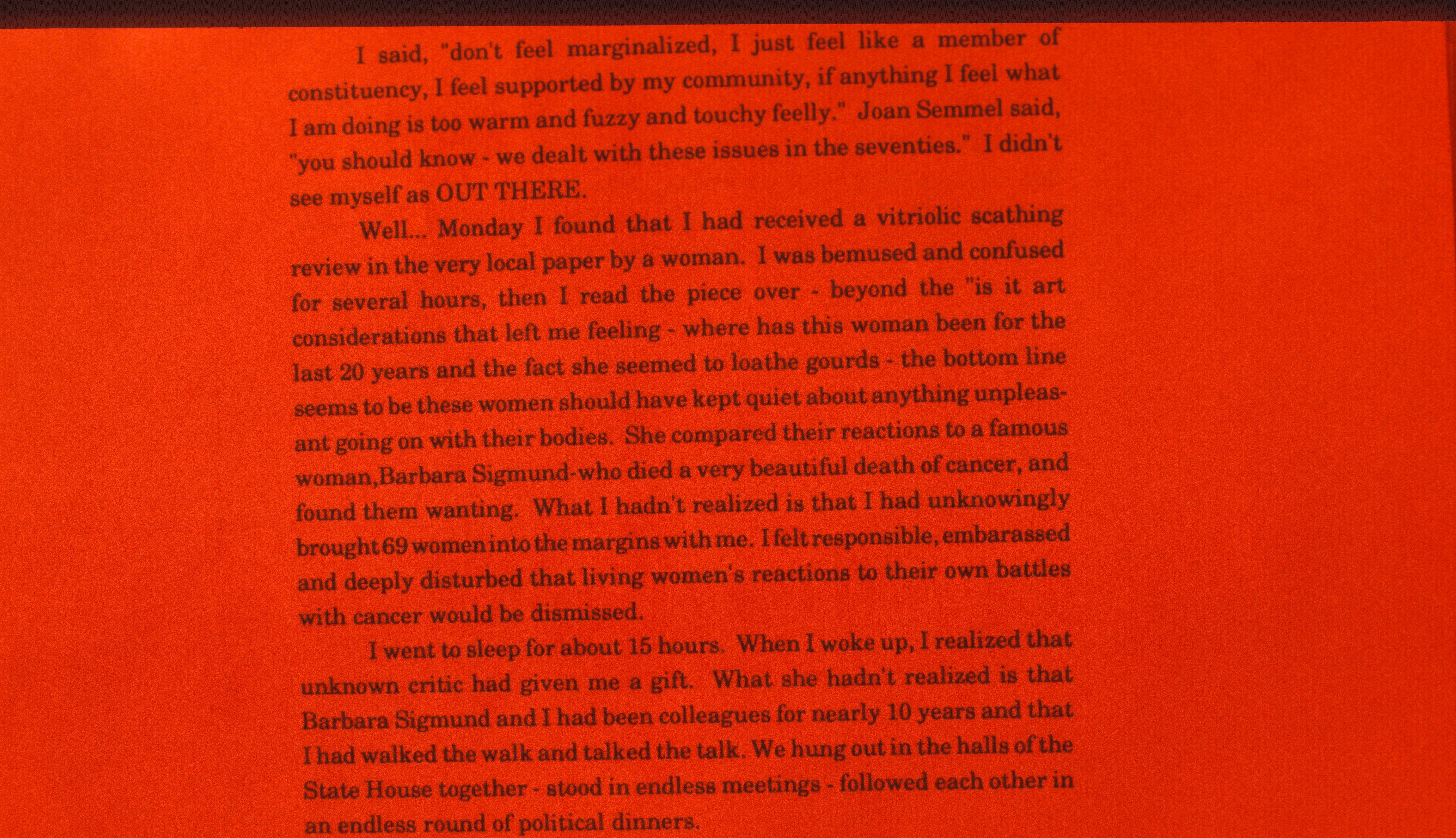 Fence 3.12 — The Artist's Statement