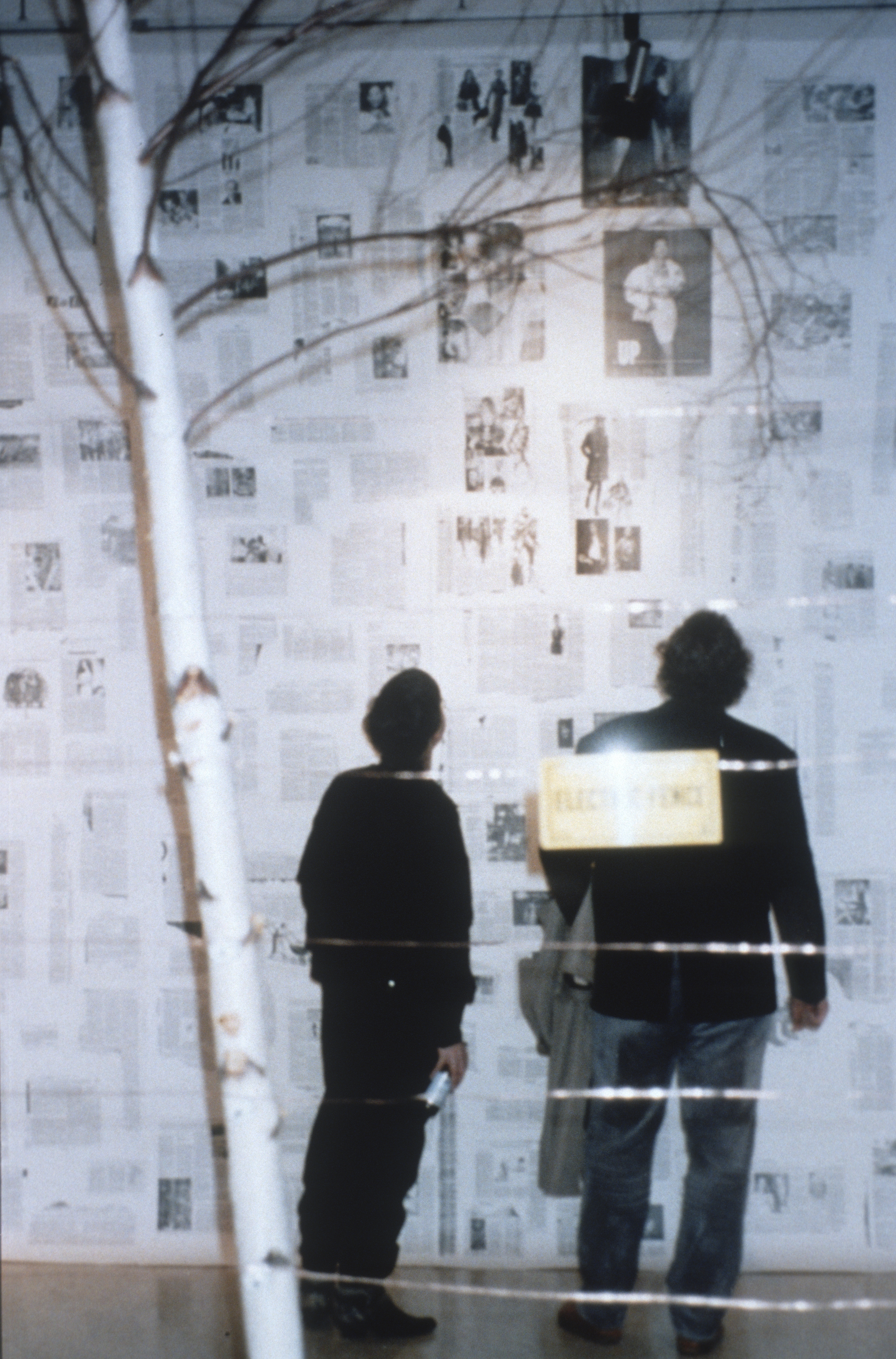 Fence 3.7 — Birch Tree