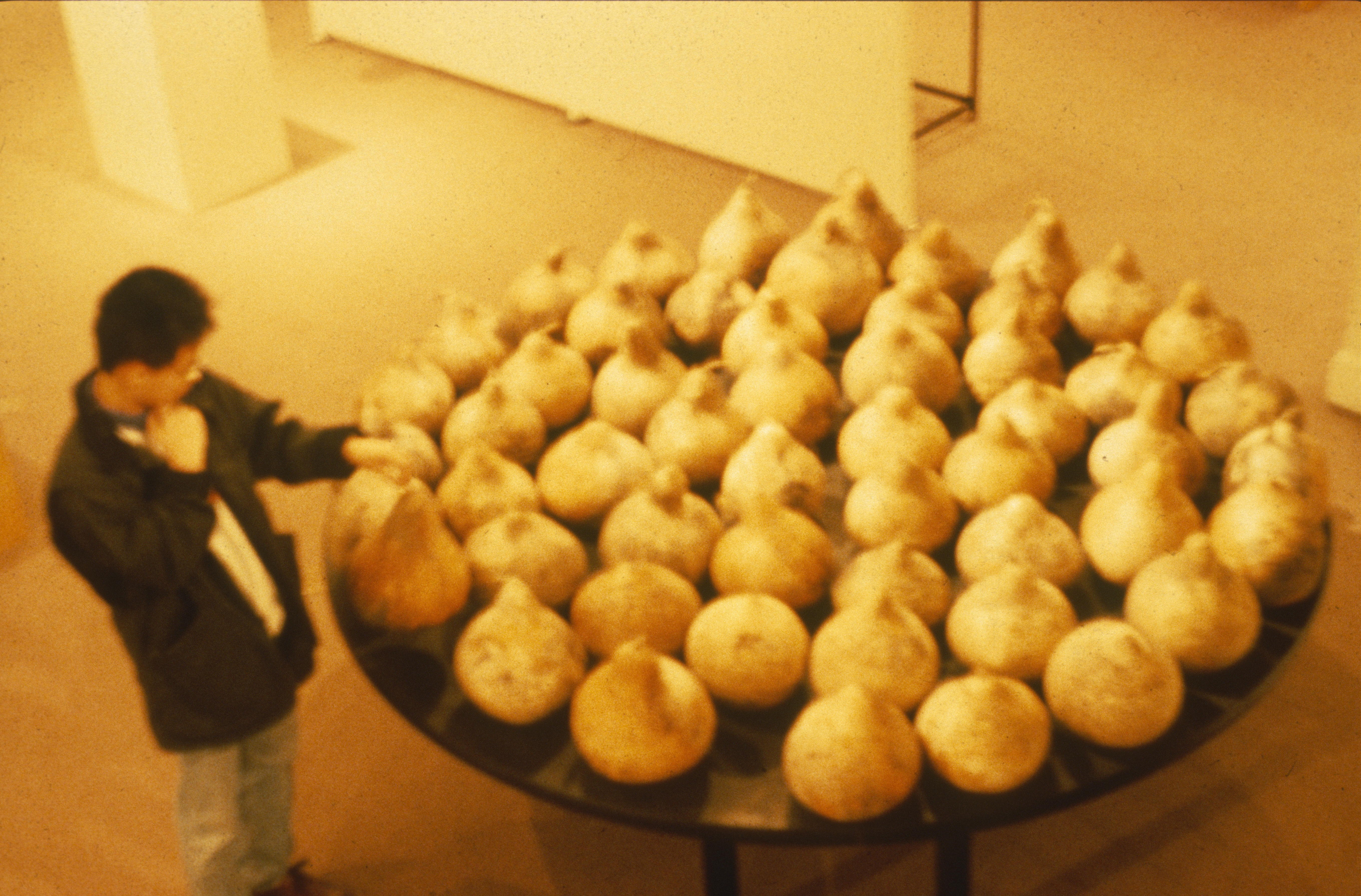 Gourd 2.1 — The Table Installation