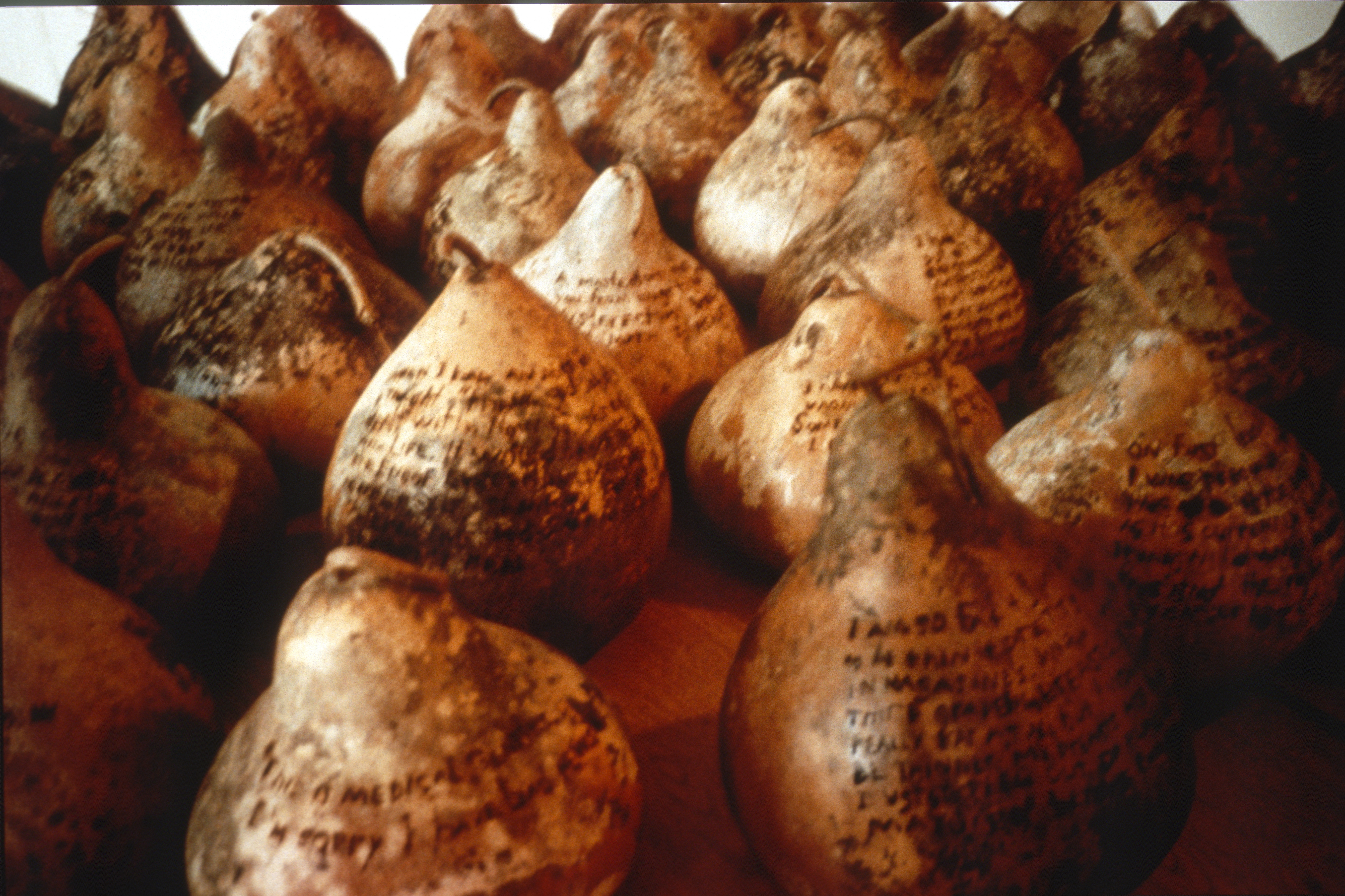 Gourd 2.2 — Testimony