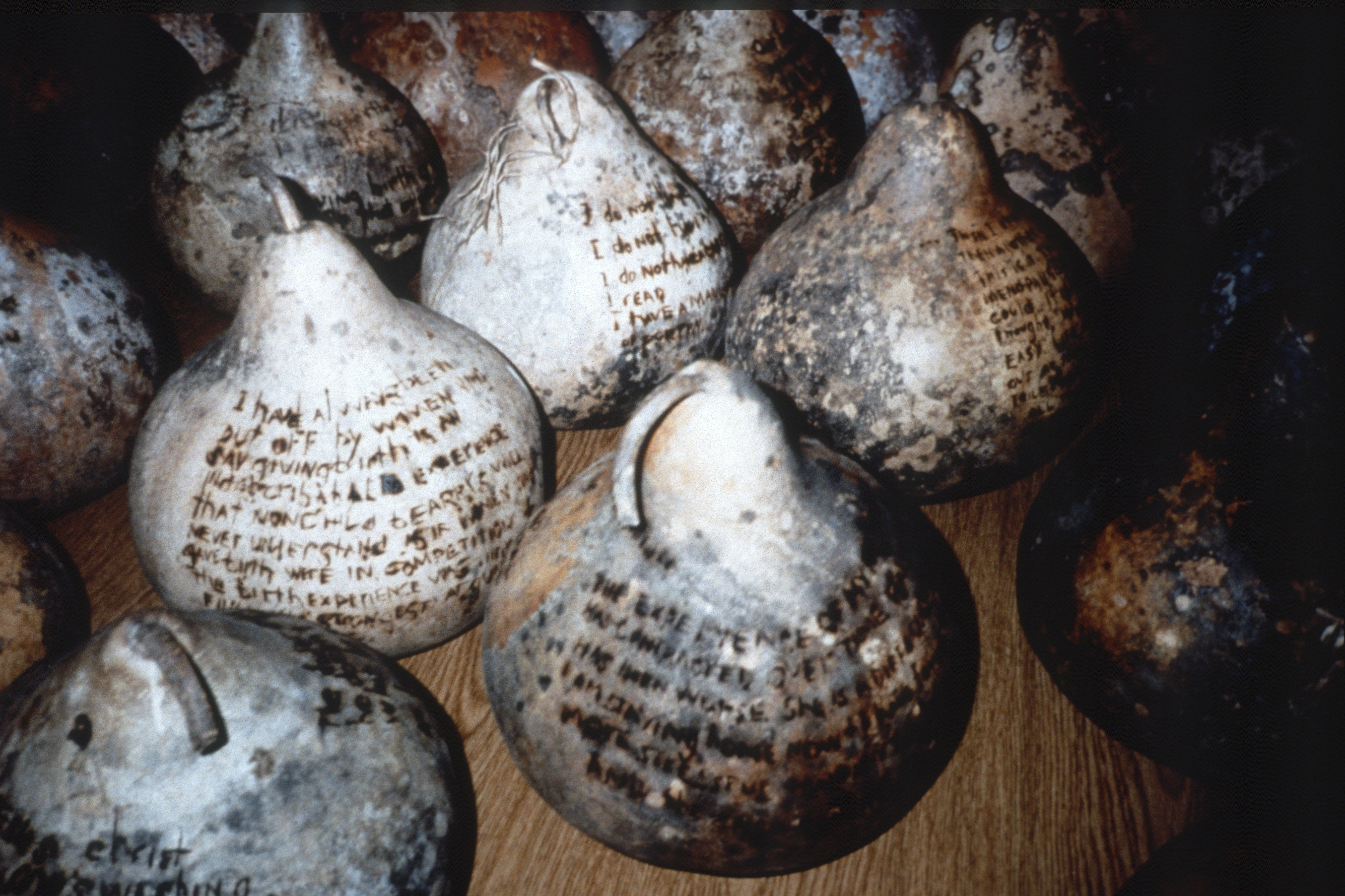 Gourd 2.3 — I Do Not Want