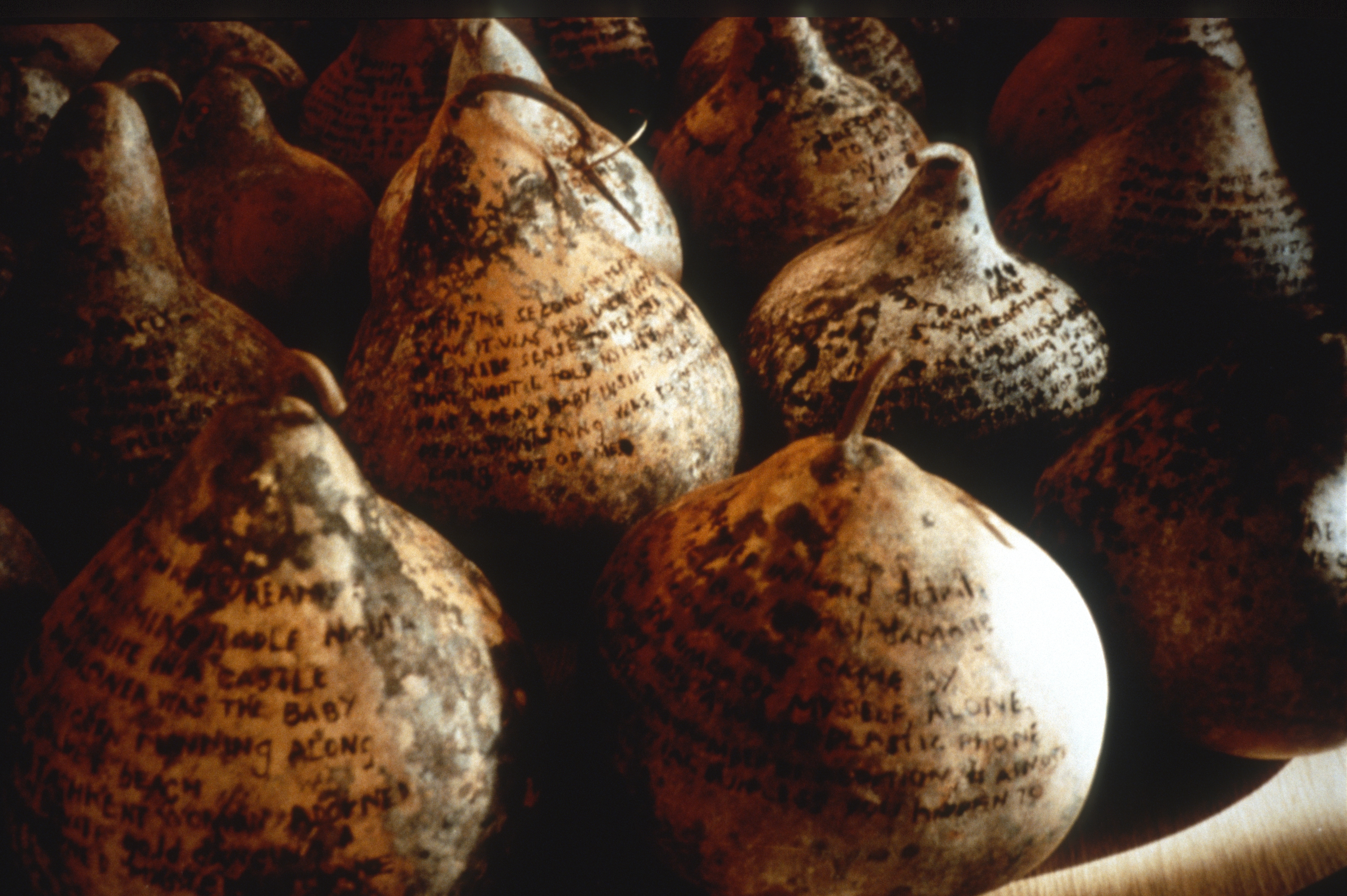 Gourd 2.4 — In the Second Trimester