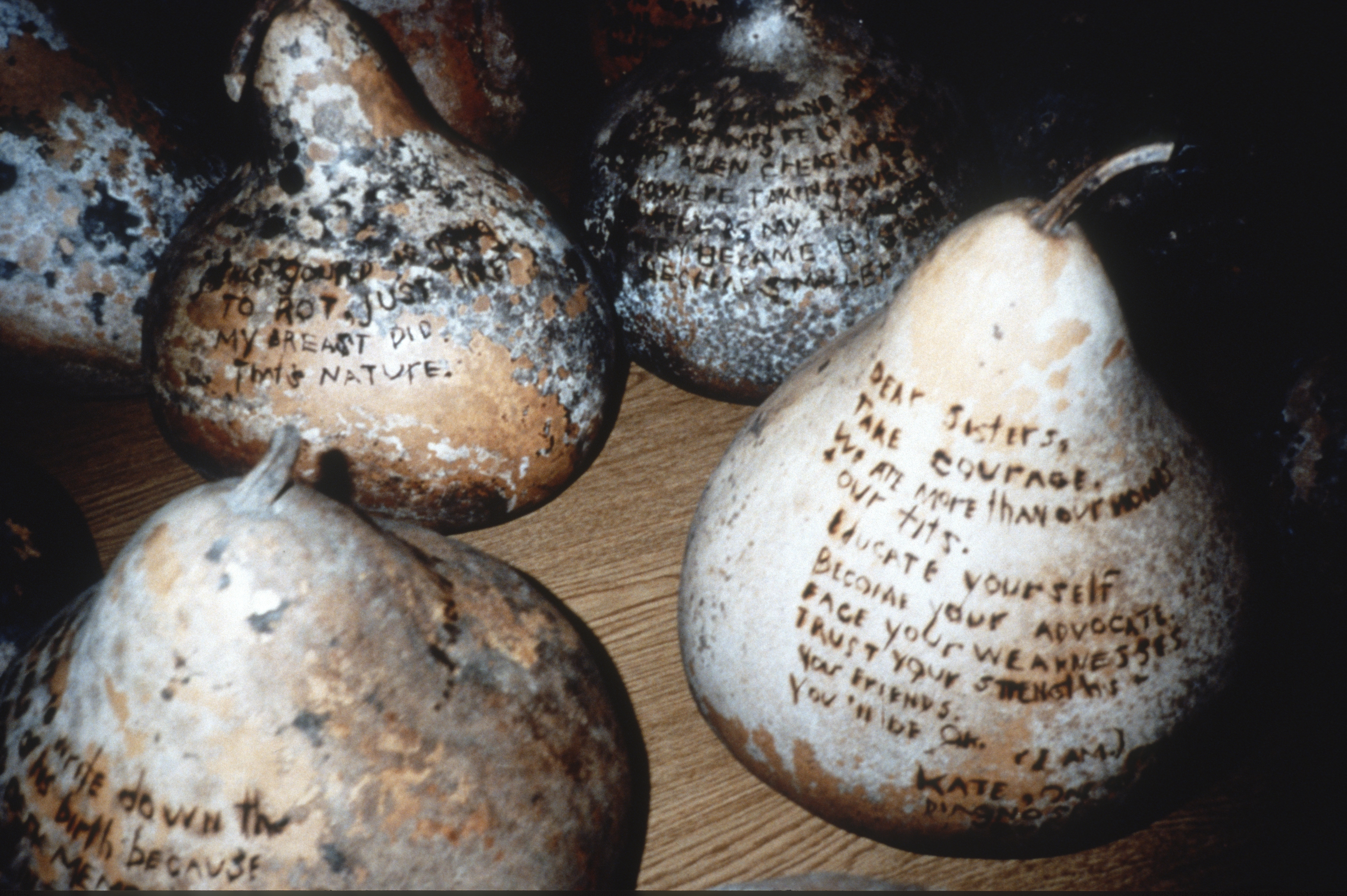Gourd 2.5 — Dear Sisters